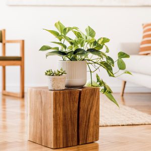 Father’s Day Herb Planter Kit