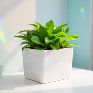 Recycled Plastic Grow Box